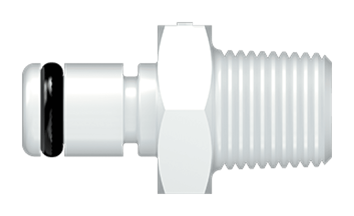 Luer Fitting 20AC-PB1-02BSPT